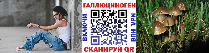 Псилоцибиновые грибы GOLDEN TEACHER  kraken как зайти  Пустошка 